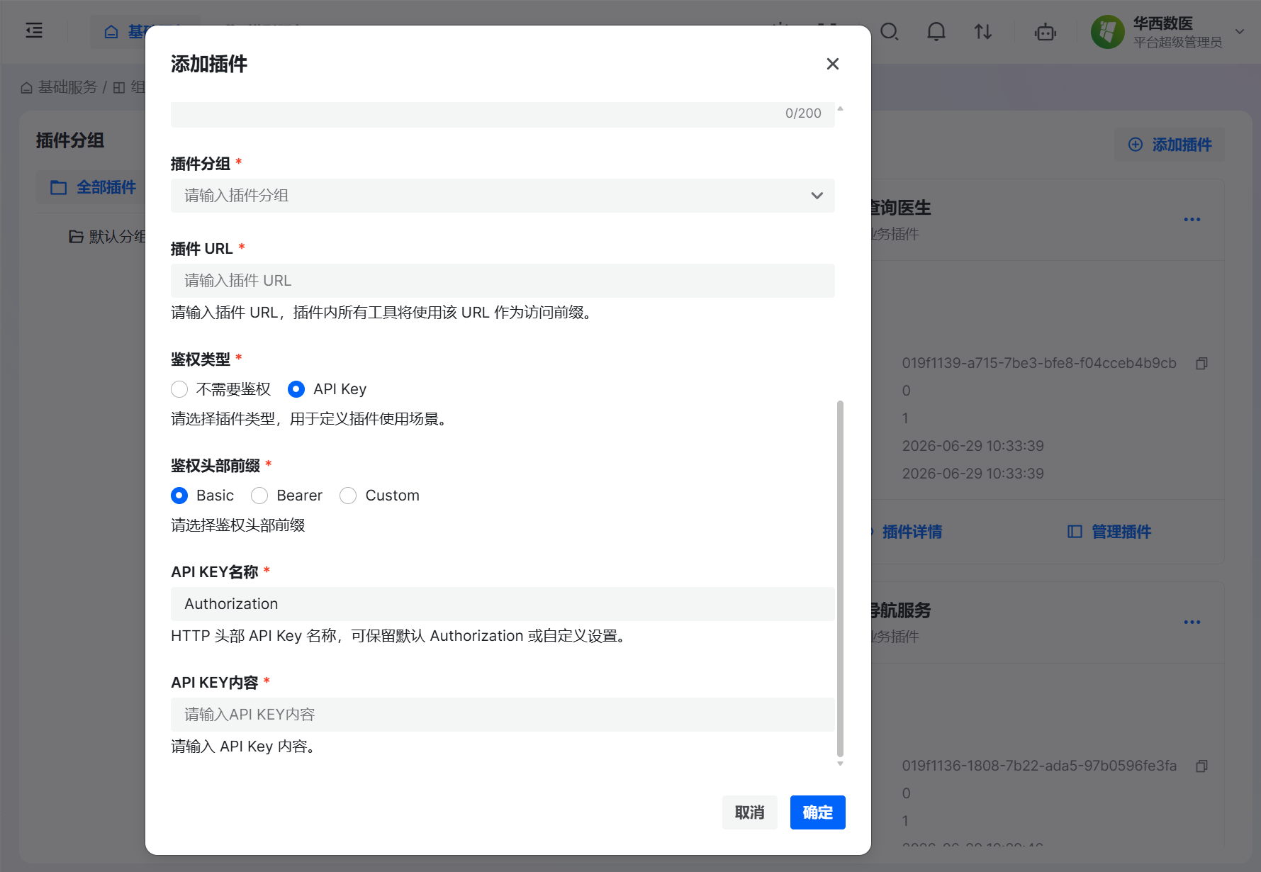 API Key 鉴权配置